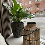 IMG_5449